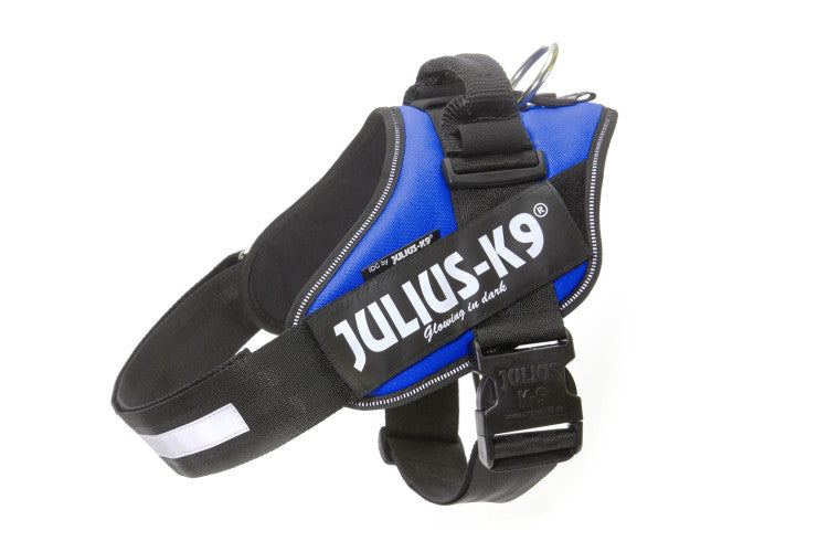 IDC Powerharness Blue Size 1