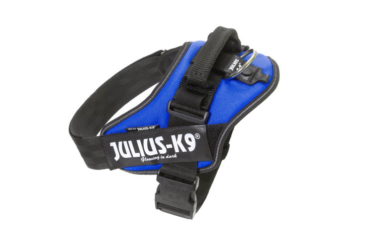 IDC Powerharness Blue Size 2