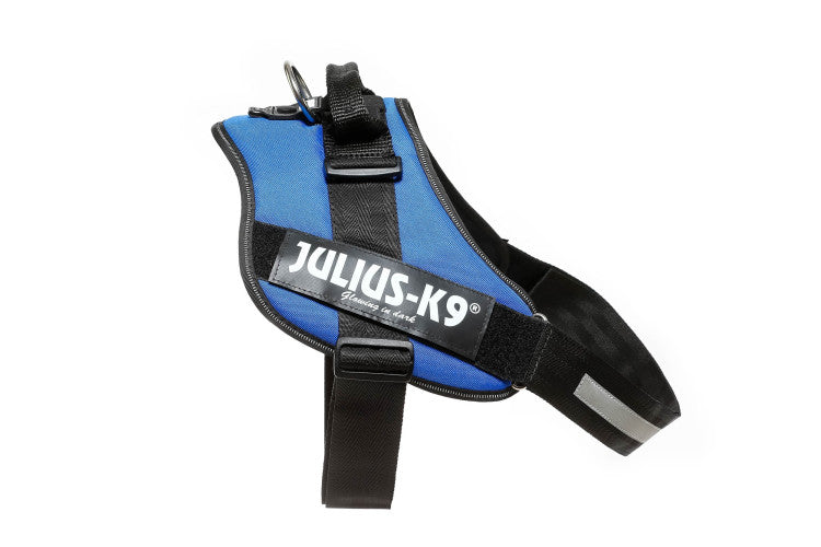IDC Powerharness Blue Size 4