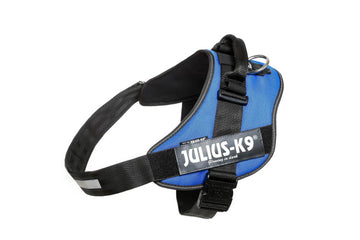 IDC Powerharness Blue Size 4