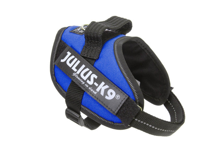 IDC Powerharness Blue Size Mini-Mini
