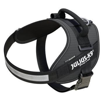 IDC Powerharness Grey Size 0