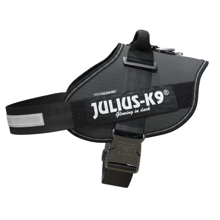 IDC Powerharness Grey Size 3