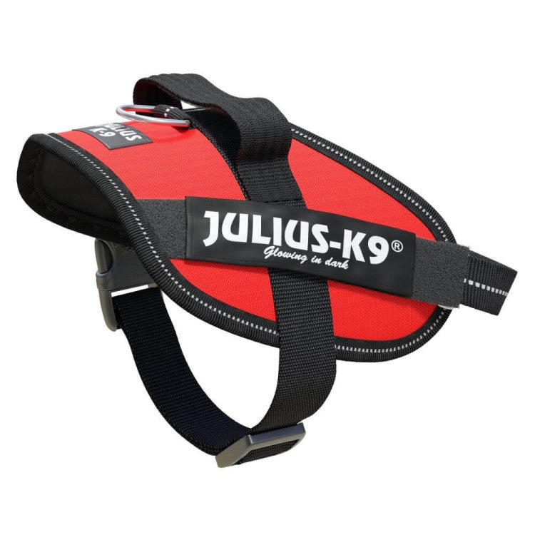 IDC Powerharness Red Size Mini-Mini