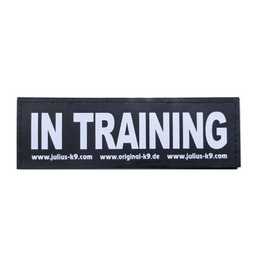 In Training Patch Small