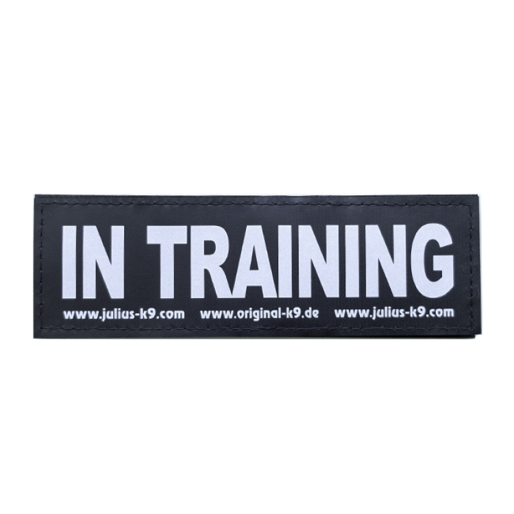 In Training Patch Small