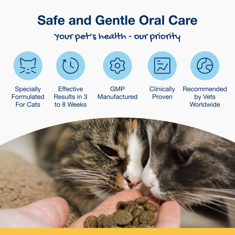 ProDen PlaqueOff Dental Bites for Cats, Salmon Flavour 60 g