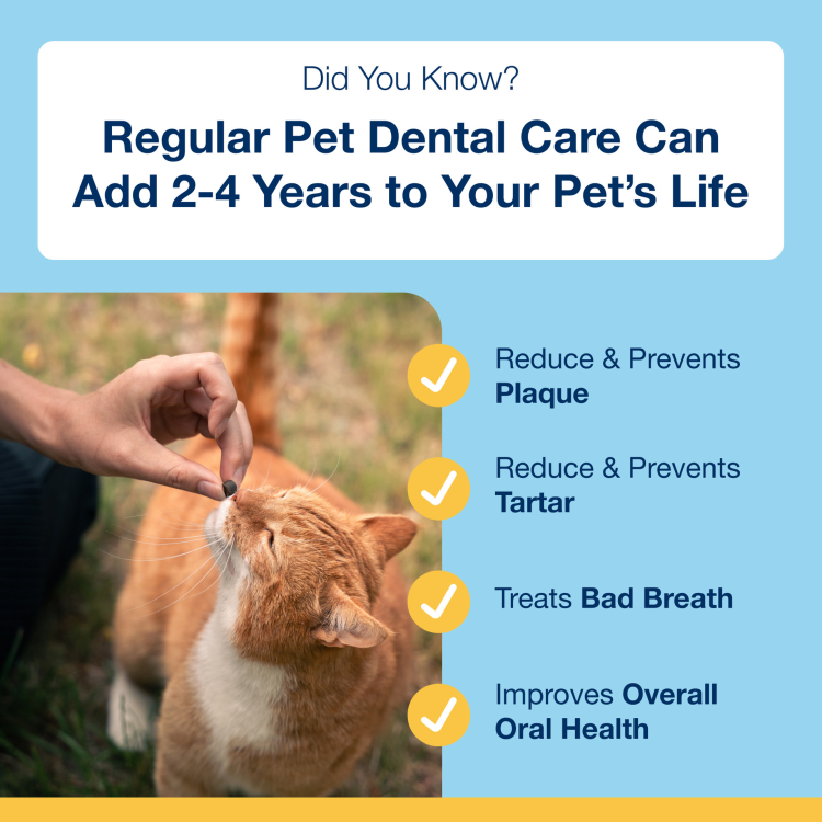 ProDen PlaqueOff Dental Bites for Cats, Salmon Flavour 60 g - Zero Waste
