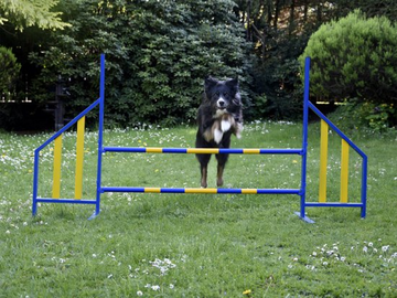 FCI Professional Metal Hurdle