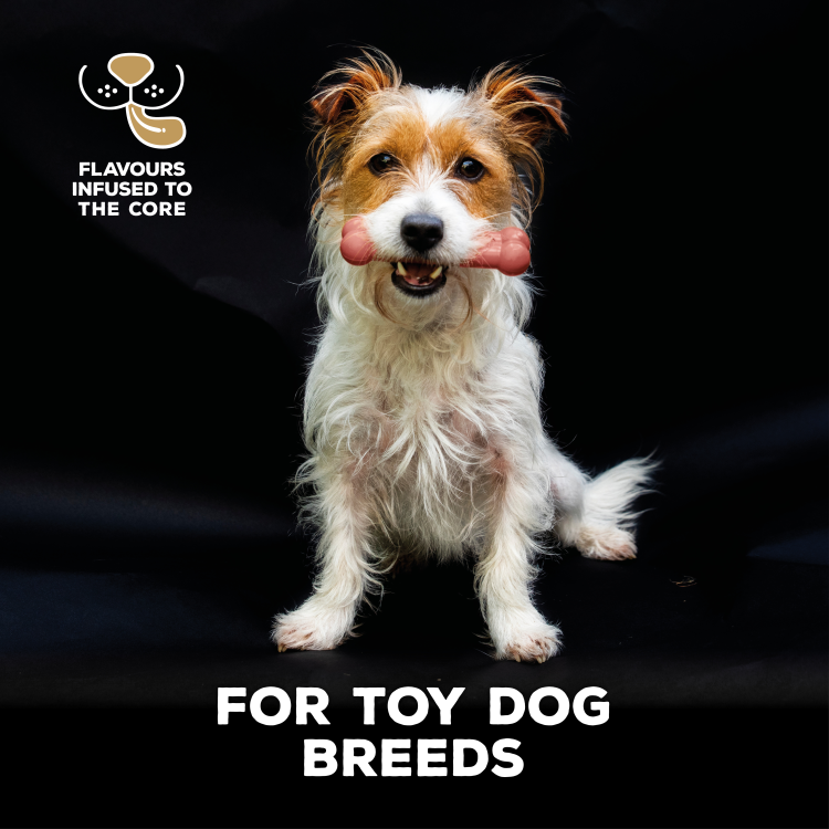 TastyBone Nylon Toy Dog, Bacon Flavor