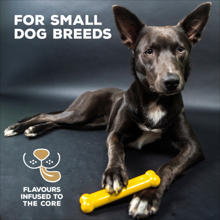 TastyBone Nylon Toy for Small Dogs, Chicken Flavor