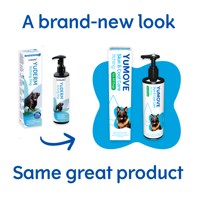 YuMOVE Skin & Coat Care Itching 250 ml