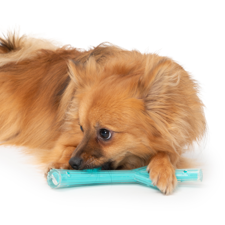 Zeus Duo Stick Chicken Scent Turqoise, 23 cm