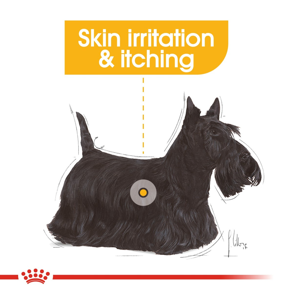 Royal Canin Canine Care Nutrition Mini Dermacomfort 3 kg