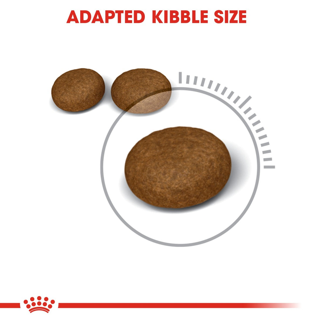 Royal Canin Feline Care Nutrition Hair & Skin 400 g