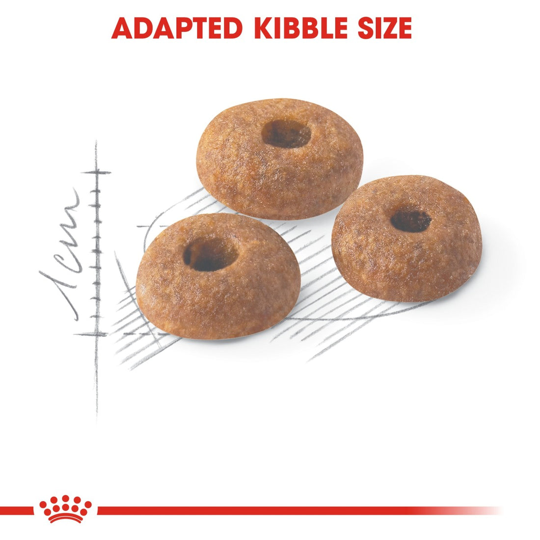 Royal Canin Feline Health Nutrition Fit 32 - 10 kg