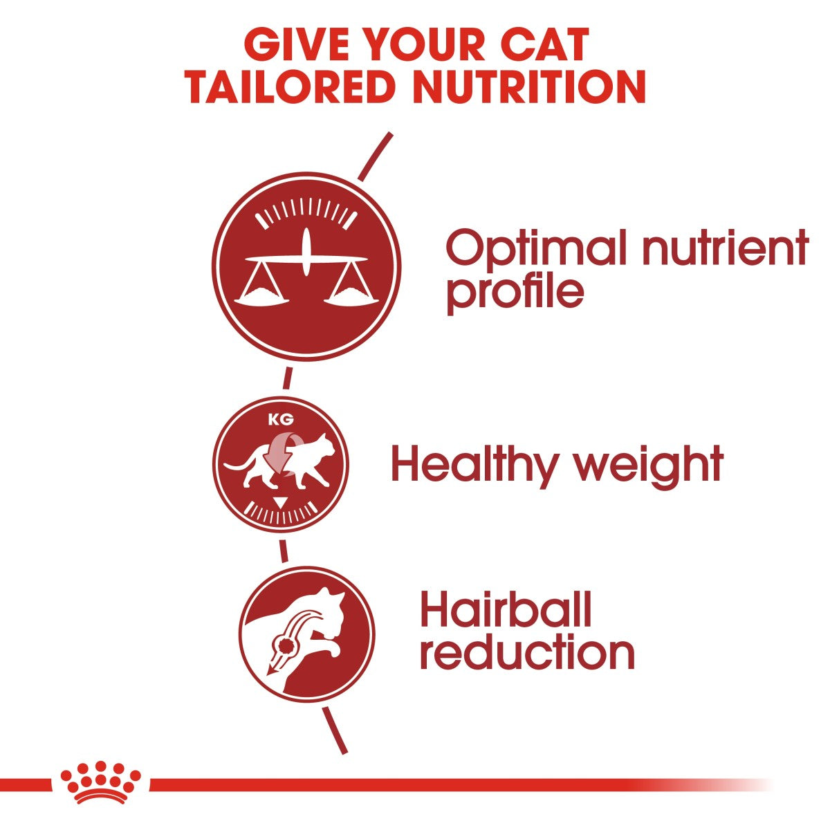 Royal Canin Feline Health Nutrition Fit 32 - 10 kg