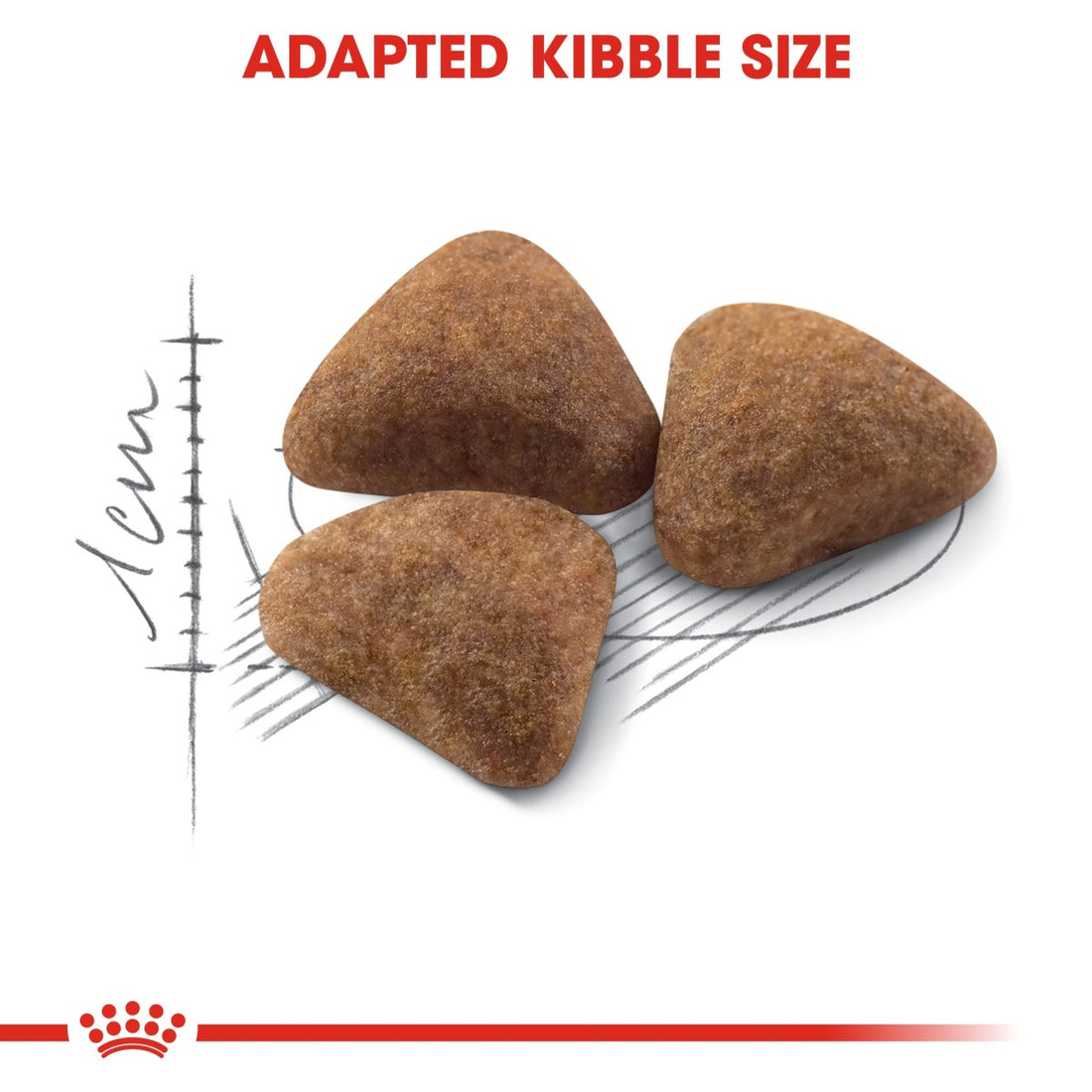 Royal Canin Feline Health Nutrition Indoor 10 kg