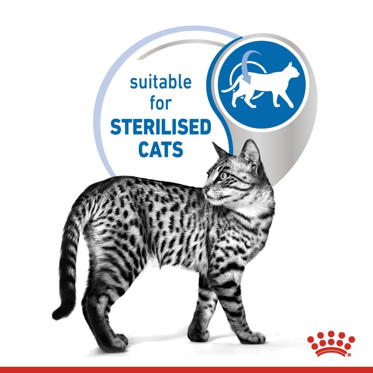 Royal Canin Feline Health Nutrition Indoor 7+ (Wet Food - Pouches) 12 x 85 g
