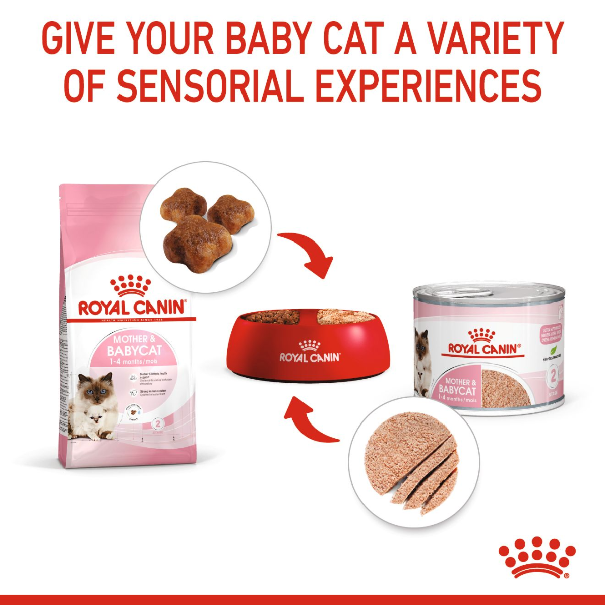 Royal Canin Feline Health Nutrition Mother & Babycat Mousse (Wet Food - Cans) 12 x 195 g