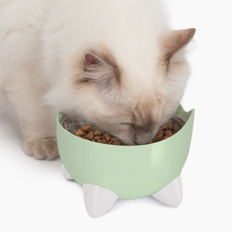 CatIt Pixi Drinking Fountain Combo Pack, Green
