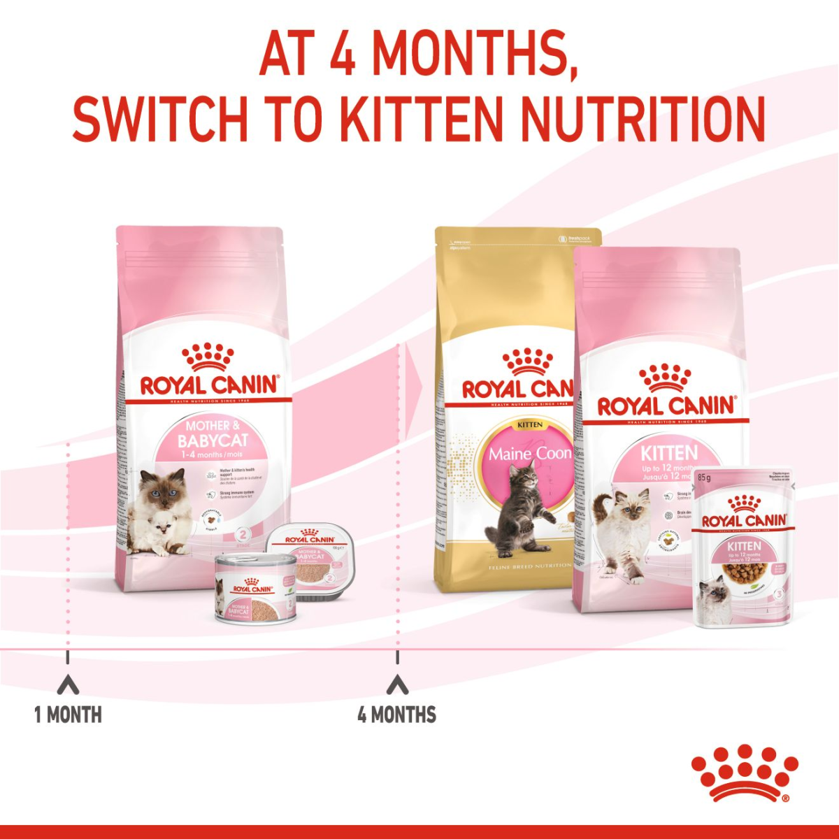 Royal Canin Feline Health Nutrition Mother and Babycat 2 kg