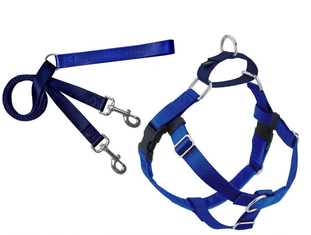 2 Hounds : Freedom No-Pull Harness and Leash - Royal Blue / Medium 5/8"