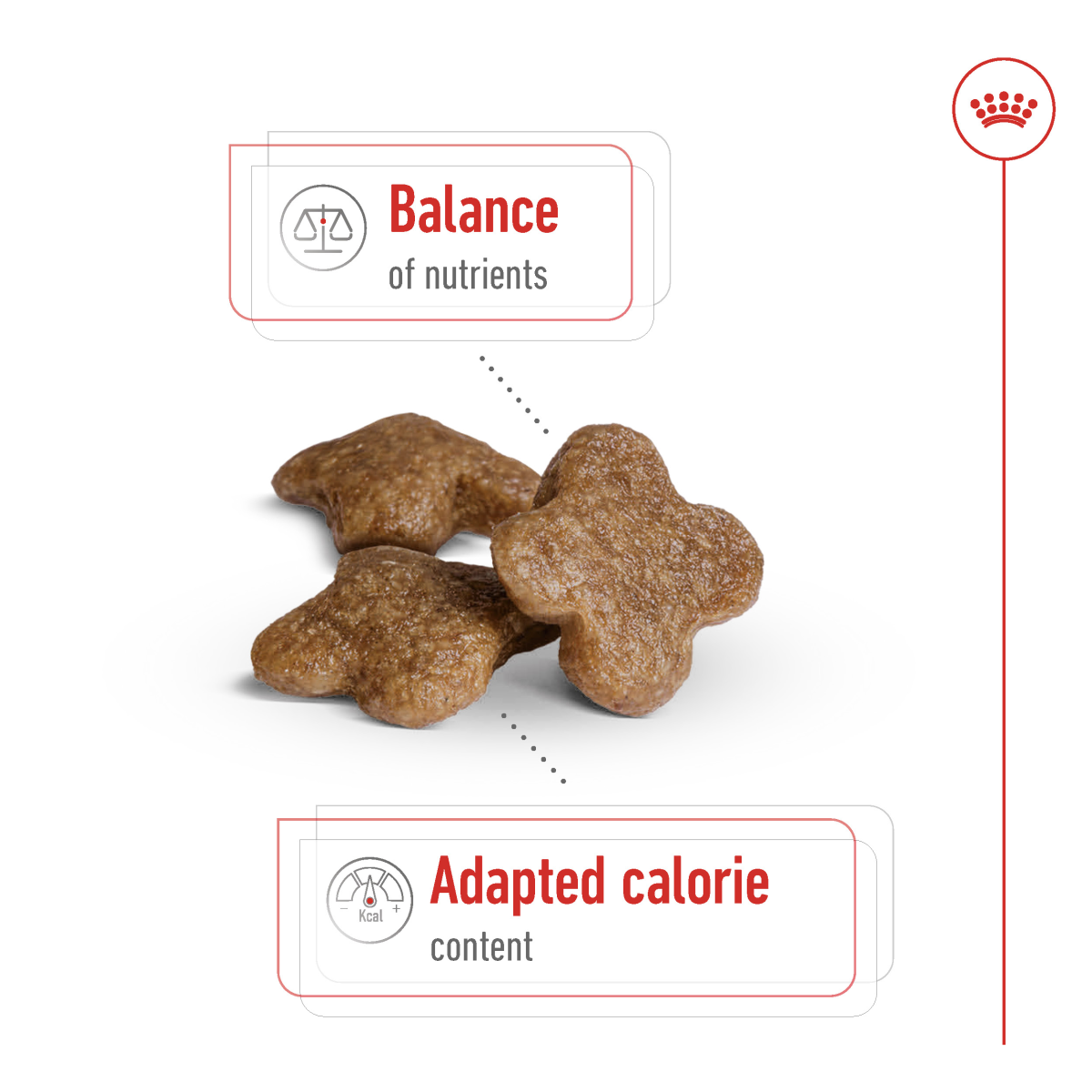 Royal Canin Size Health Nutrition Mini Adult 8+ 2 kg