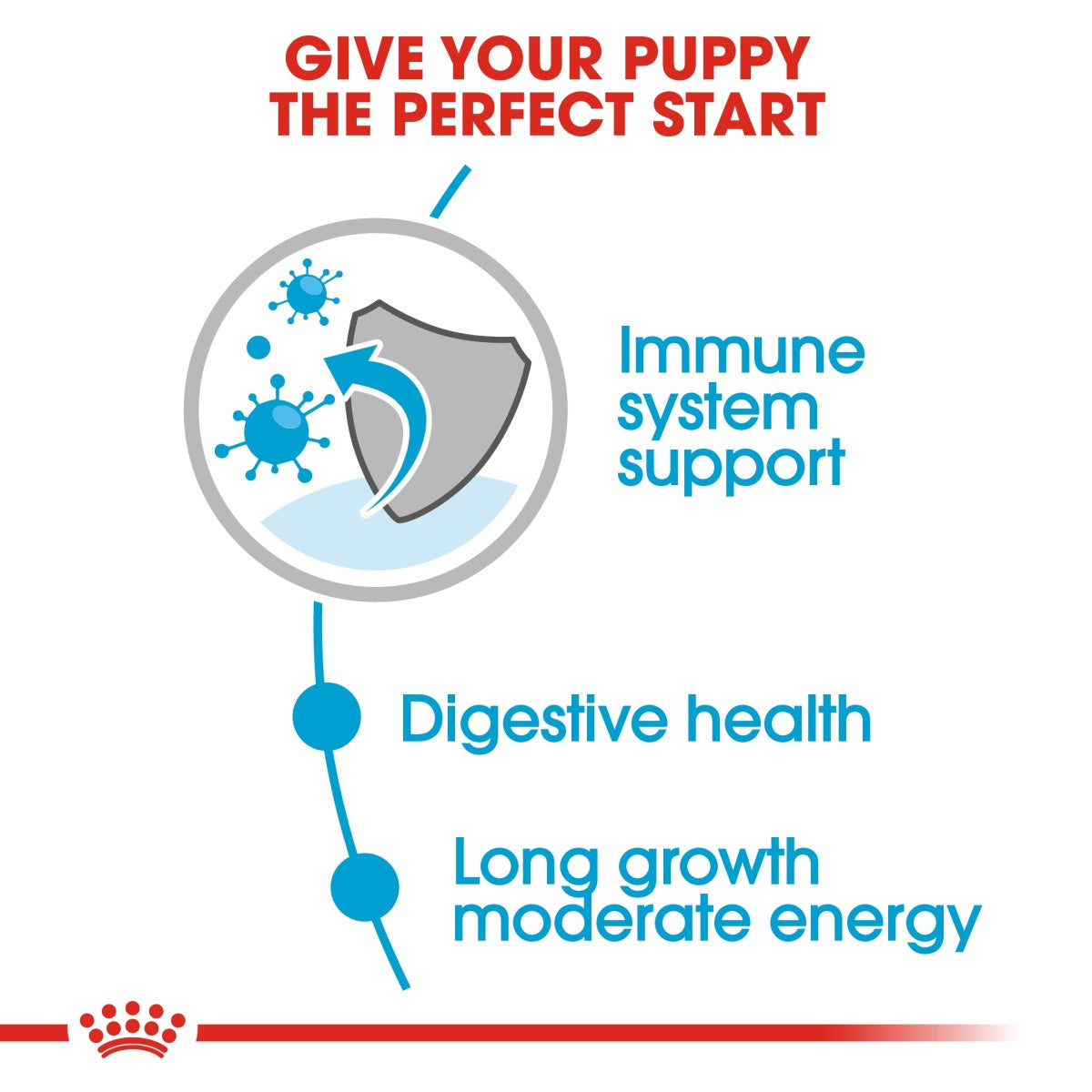 Royal Canin Size Health Nutrition Maxi Puppy (Wet Food - Pouches) 10 x 140 g