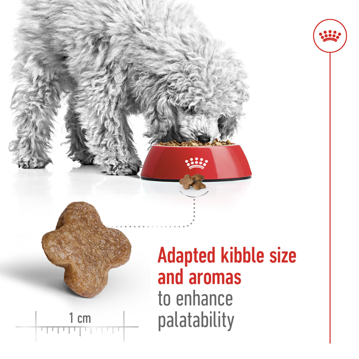 Royal Canin Size Health Nutrition Mini Adult 8+ 2 kg