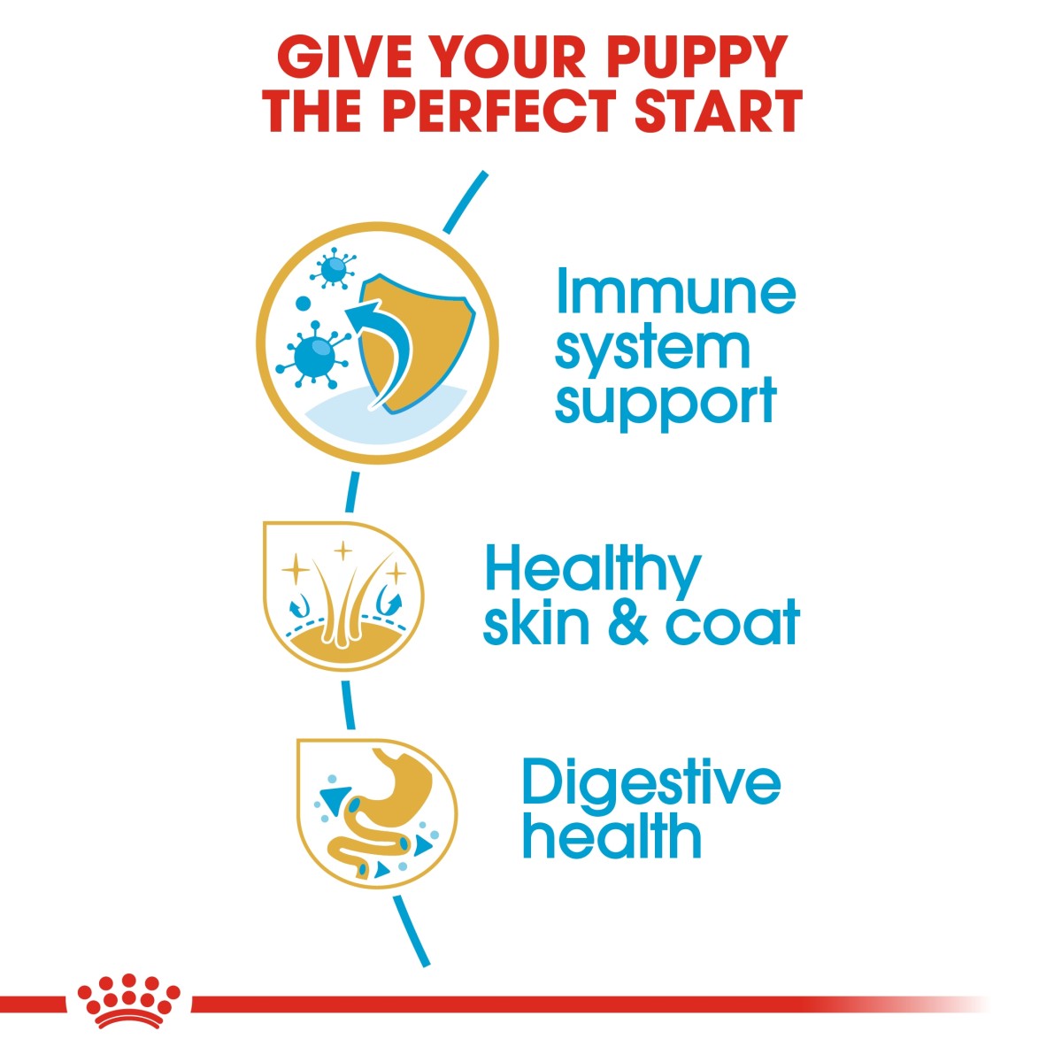 Royal Canin Breed Health Nutrition Golden Retriever Puppy 12 kg
