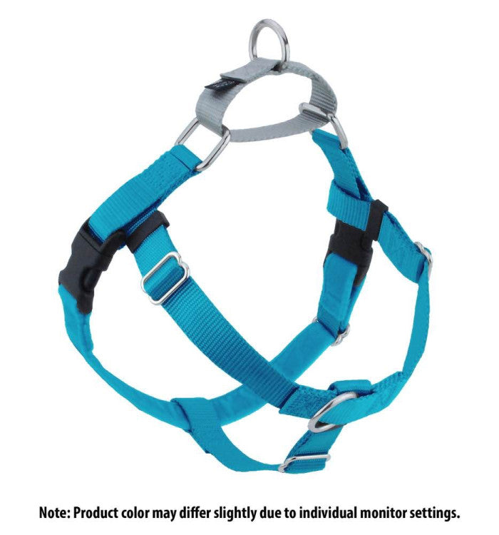 2 Hounds : Freedom No-Pull Harness and Leash - Turquoise / Large 1"