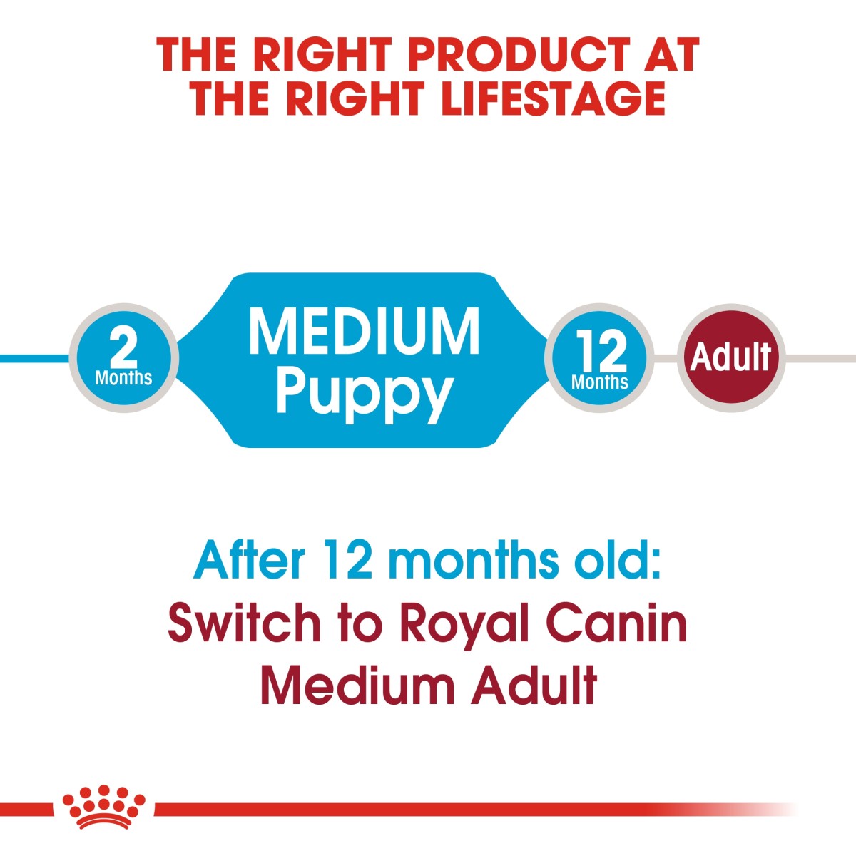 Royal Canin Size Health Nutrition Medium Puppy 1 kg