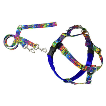 2 Hounds : RAINBOW FREEDOM NO PULL HARNESS AND LEASH - LARGE