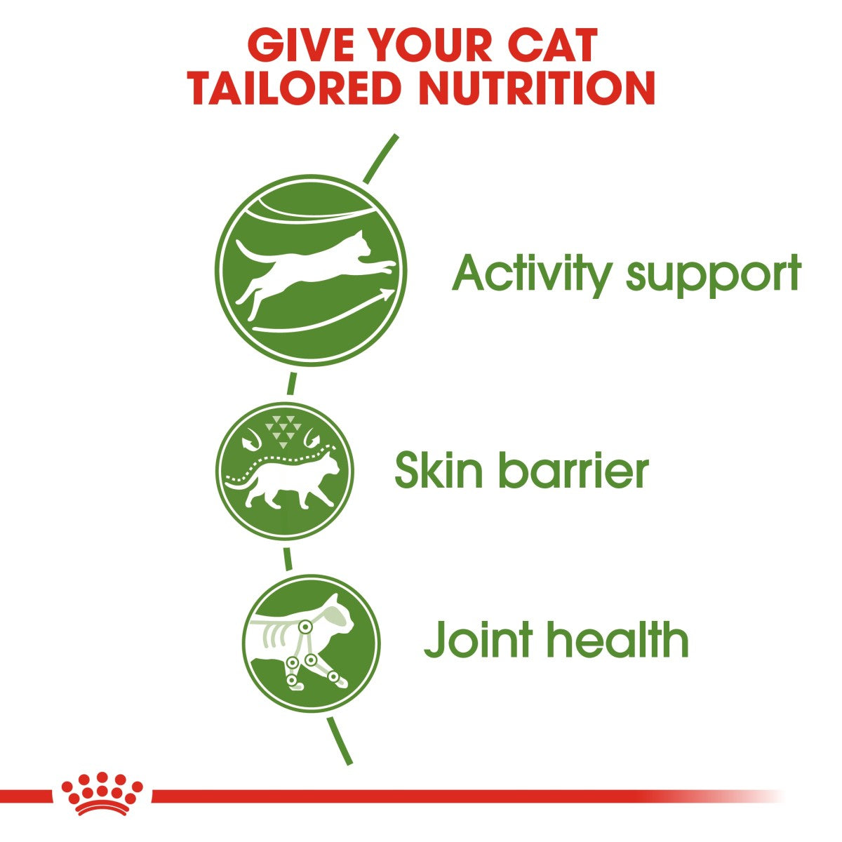Royal Canin Feline Health Nutrition Outdoor 2 kg