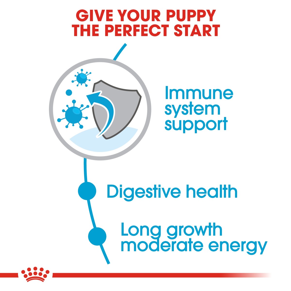 Royal Canin Size Health Nutrition Maxi Puppy 10 kg