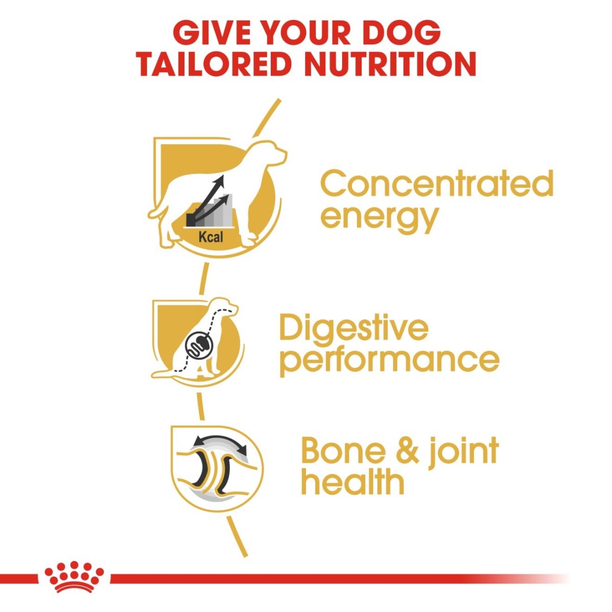 Royal Canin Breed Health Nutrition Great Dane Adult 12 kg