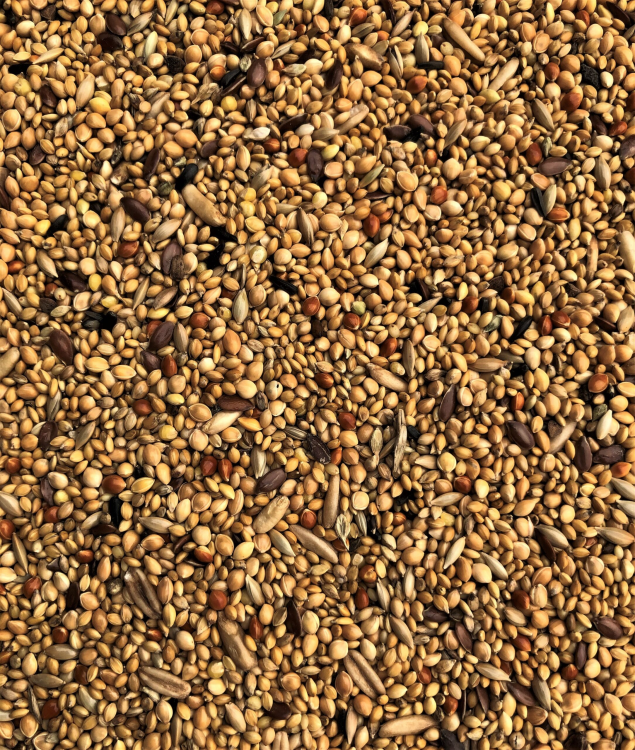 Exotic Mix 20 kg