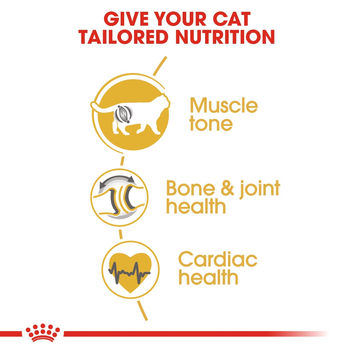 Royal Canin Feline Breed Nutrition British Shorthair Adult 4 kg