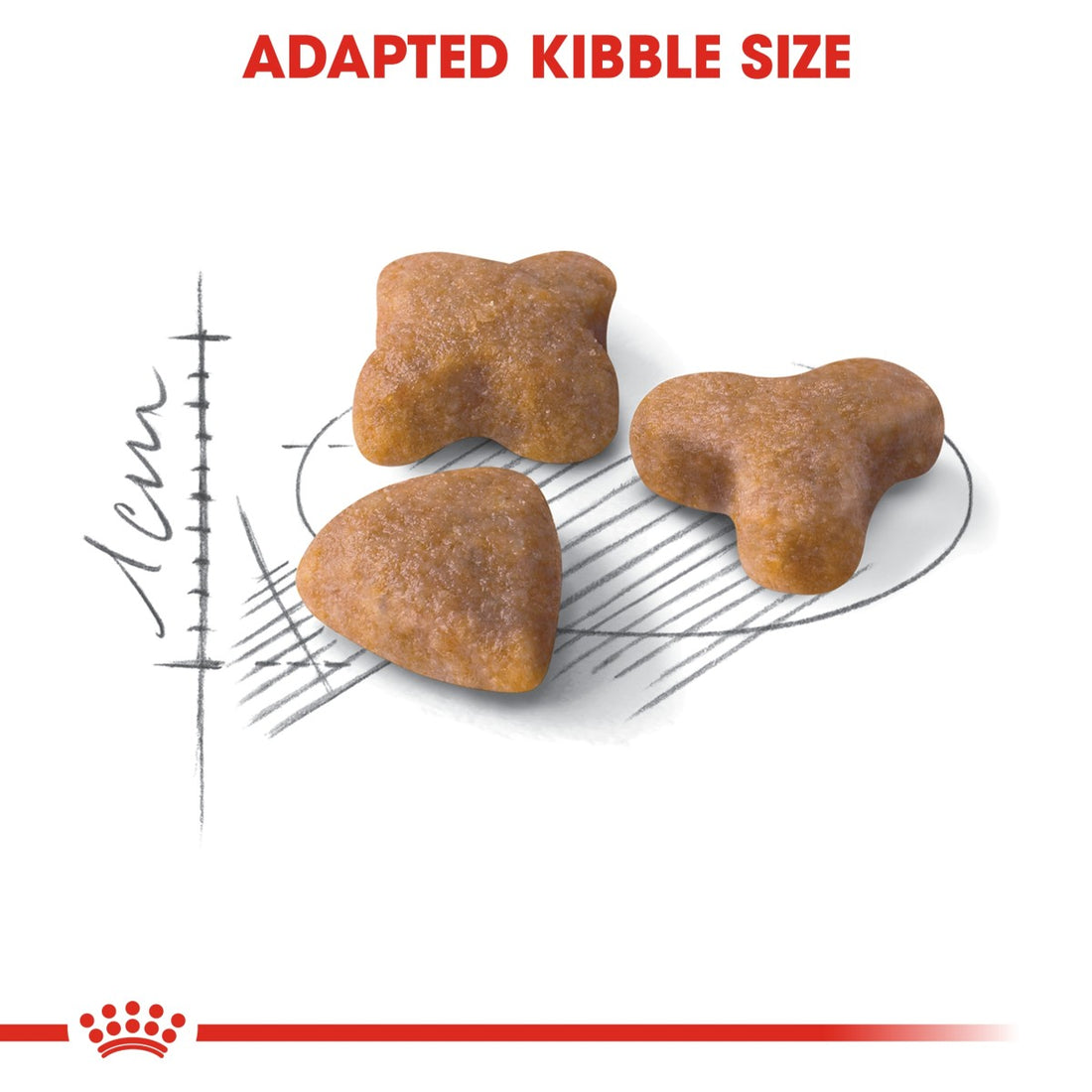 Royal Canin Feline Health Nutrition Sensible 10 kg