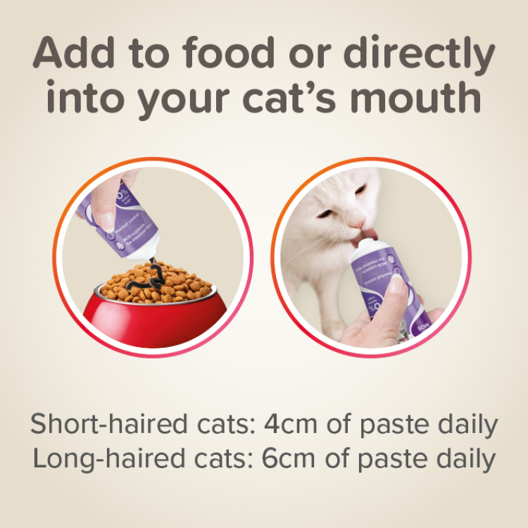 Malt Paste Anti-Hairball 100 g