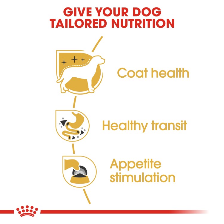 Royal Canin: Breed Health Nutrition Chihuahua Adult (Wet Food - Pouches) 12 x 85 g