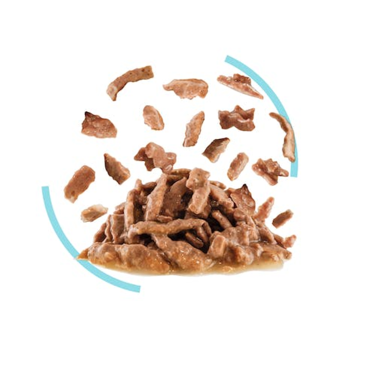 Royal Canin Feline Health Nutrition Sensory Feel Gravy (Wet Food - Pouches) 12 x 85 g