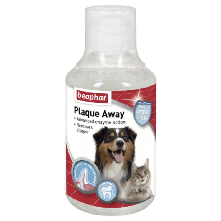 Mouth Wash 250 ml