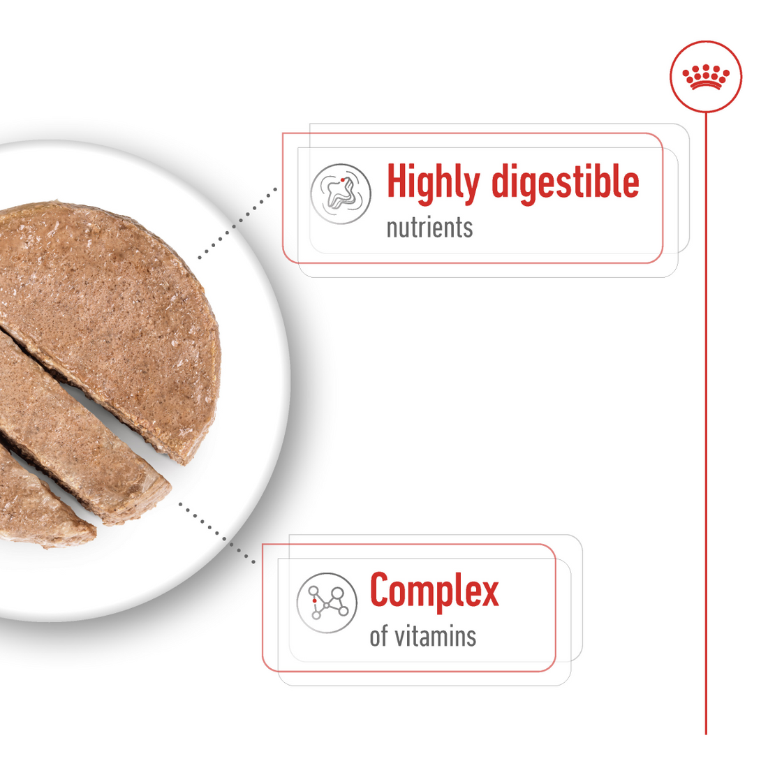 Royal Canin Size Health Nutrition Mini Adult (Wet Food - Can) 12 x 195 g