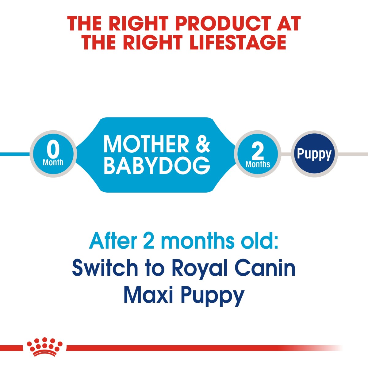 Royal Canin Size Health Nutrition Maxi Starter 4 kg