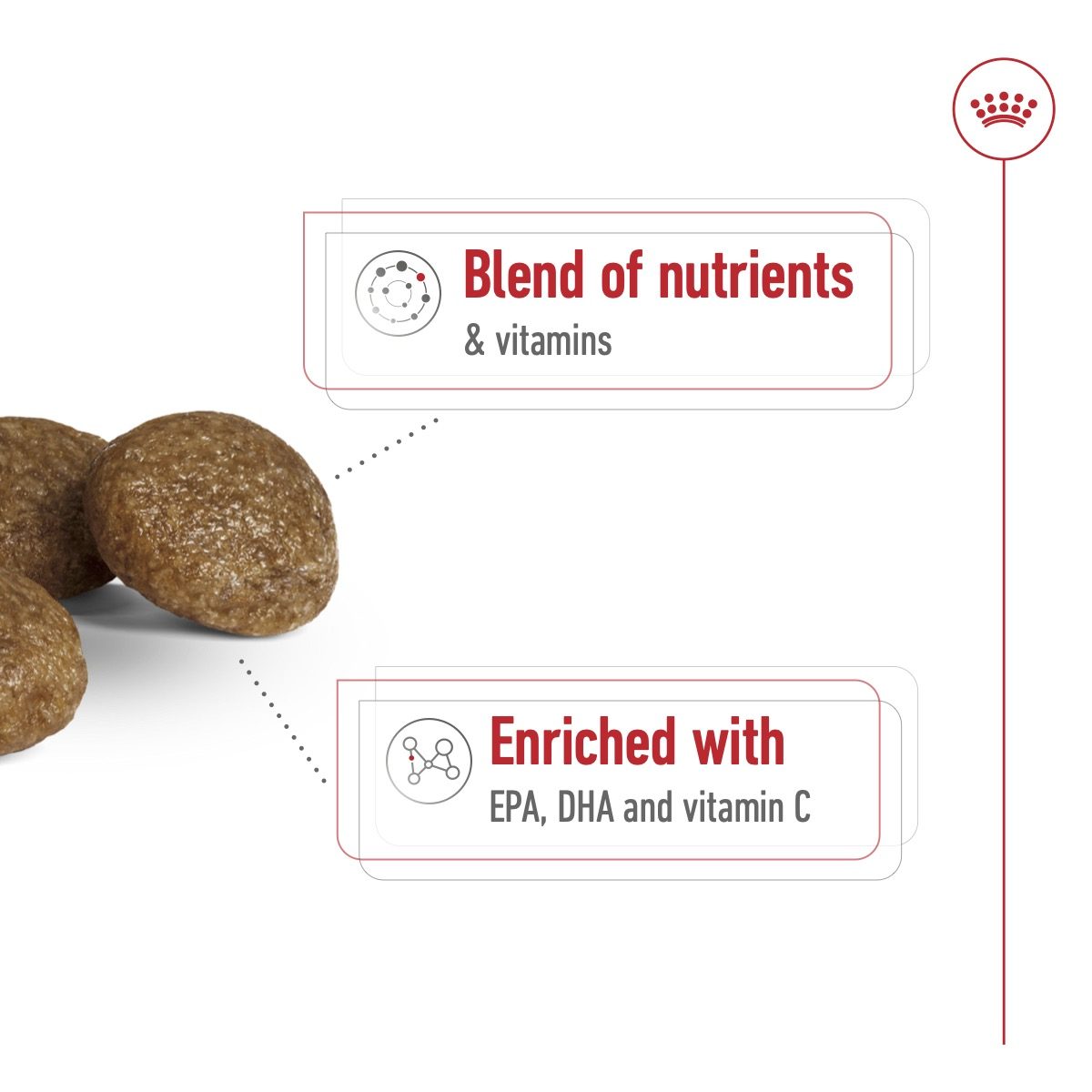 Royal Canin Size Health Nutrition XS Adult 8+ 1.5 kg