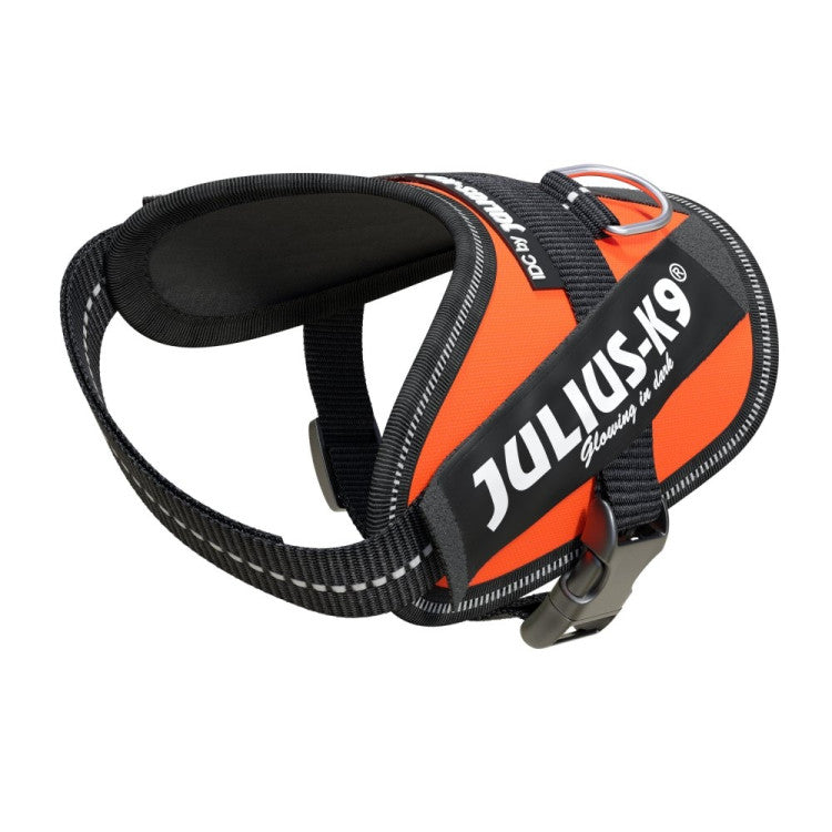 IDC High Visibility Powerharness UV Orange, Size Baby 2