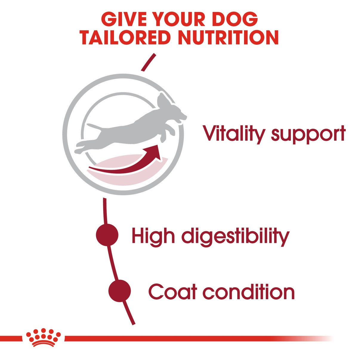Royal Canin Size Health Nutrition Medium Adult 7+ 4 kg