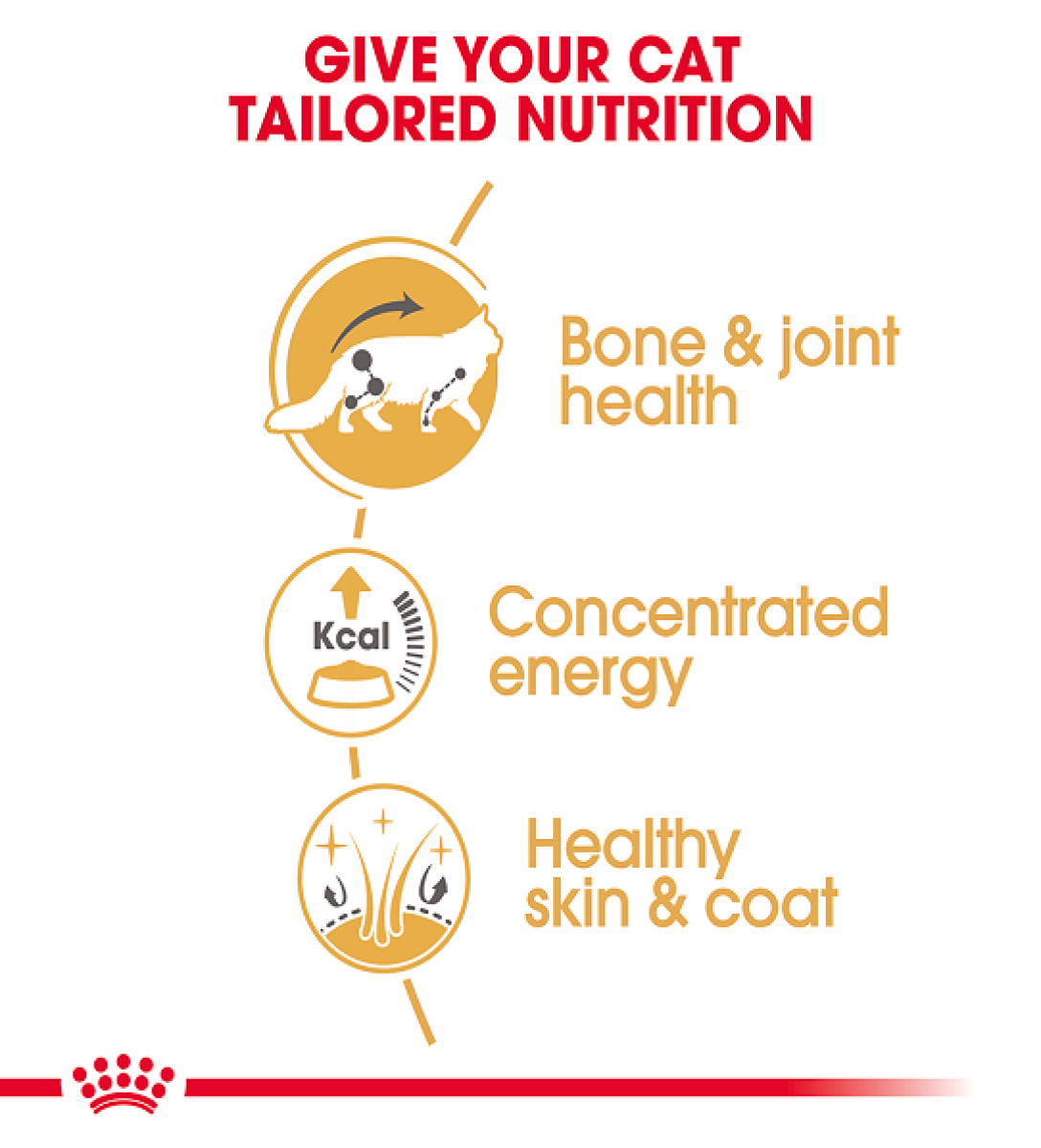 Royal Canin Feline Breed Nutrition Maine Coon (Wet Food - Pouches) 12 x 85 g